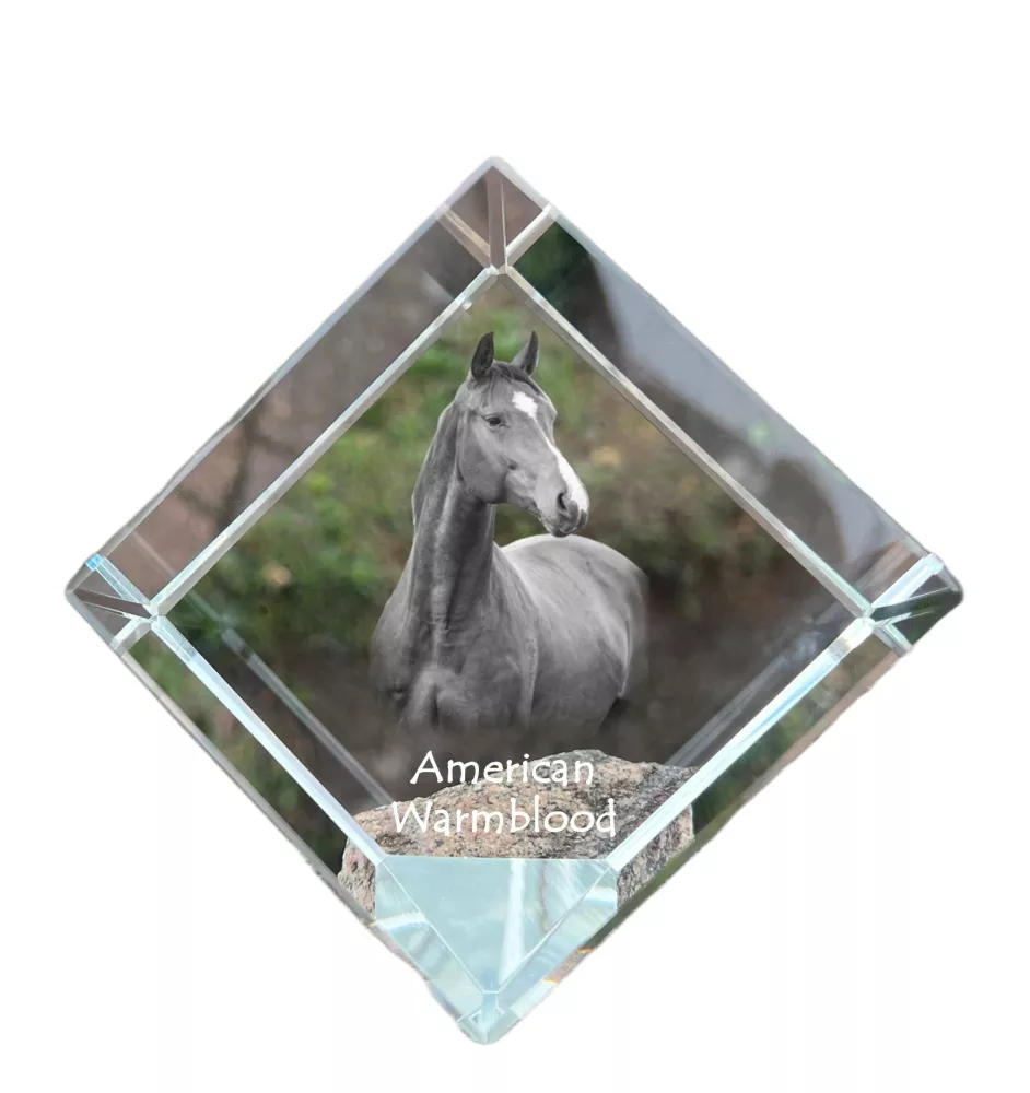Cheval de sang américain - un cube de cristal avec une photo de cheval, une photo de cheval dans le cristal, un presse-papiers cubique de la marque Art-Dog