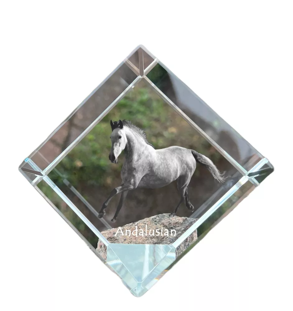 Andalusian - crystal cube with a horse picture, horse picture in crystal, cubic paperweight from Art-Dog brand