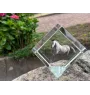 Andalusian - crystal cube with a horse picture, horse picture in crystal, cubic paperweight from Art-Dog brand