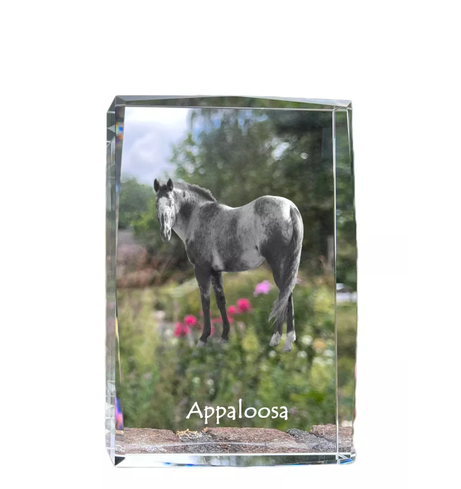Appaloosa - Kristall mit einem Pferdebild, Bild im Glas, moderne Ausstellung des Art-Dog-Bildes.