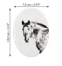 Appaloosa - commemorative plaque with a photo of a horse, tombstone plaque with a print, personalized oval plaque by Art-Dog brand