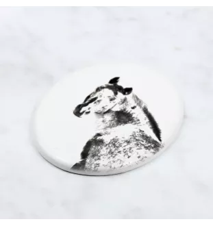 Appaloosa płyta nagrobna z koniem Art-Dog