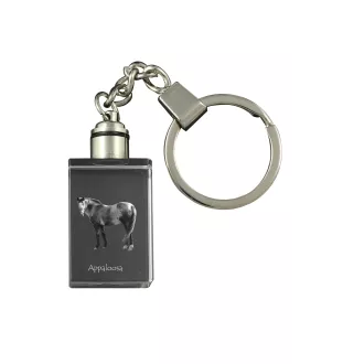 Appaloosa - Crystal pendant with photo of a horse, illuminated pendant, unique gift by Art-Dog brand