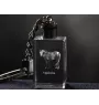 Appaloosa - Crystal pendant with photo of a horse, illuminated pendant, unique gift by Art-Dog brand