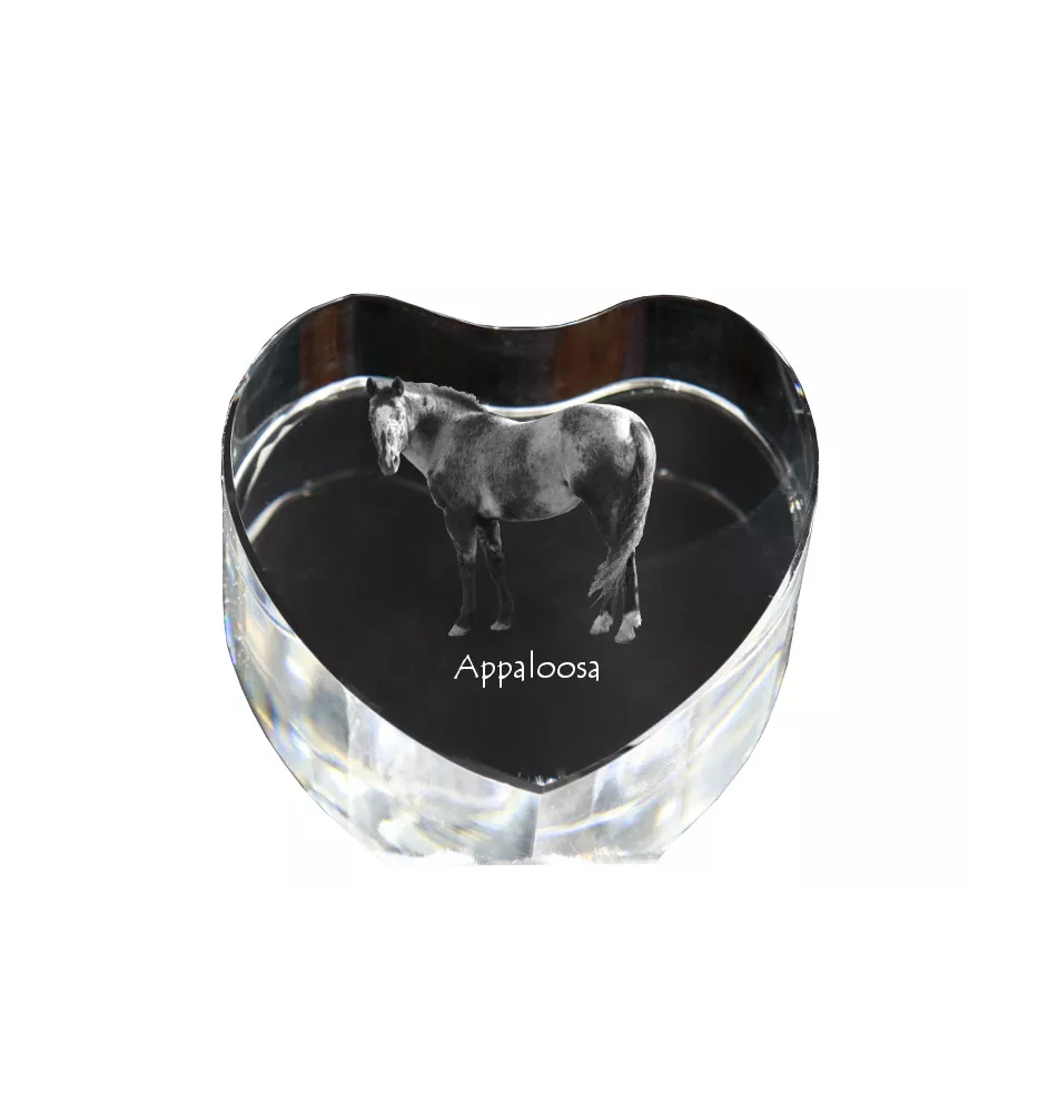 Appaloosa - Pferdefoto im Kristall, Kristallherz, einzigartiger Bilderrahmen der Marke Art-Dog