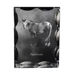 Appaloosa - crystal with a picture of a horse, glass statuette with a picture, unique frame with a picture from Art-Dog brand