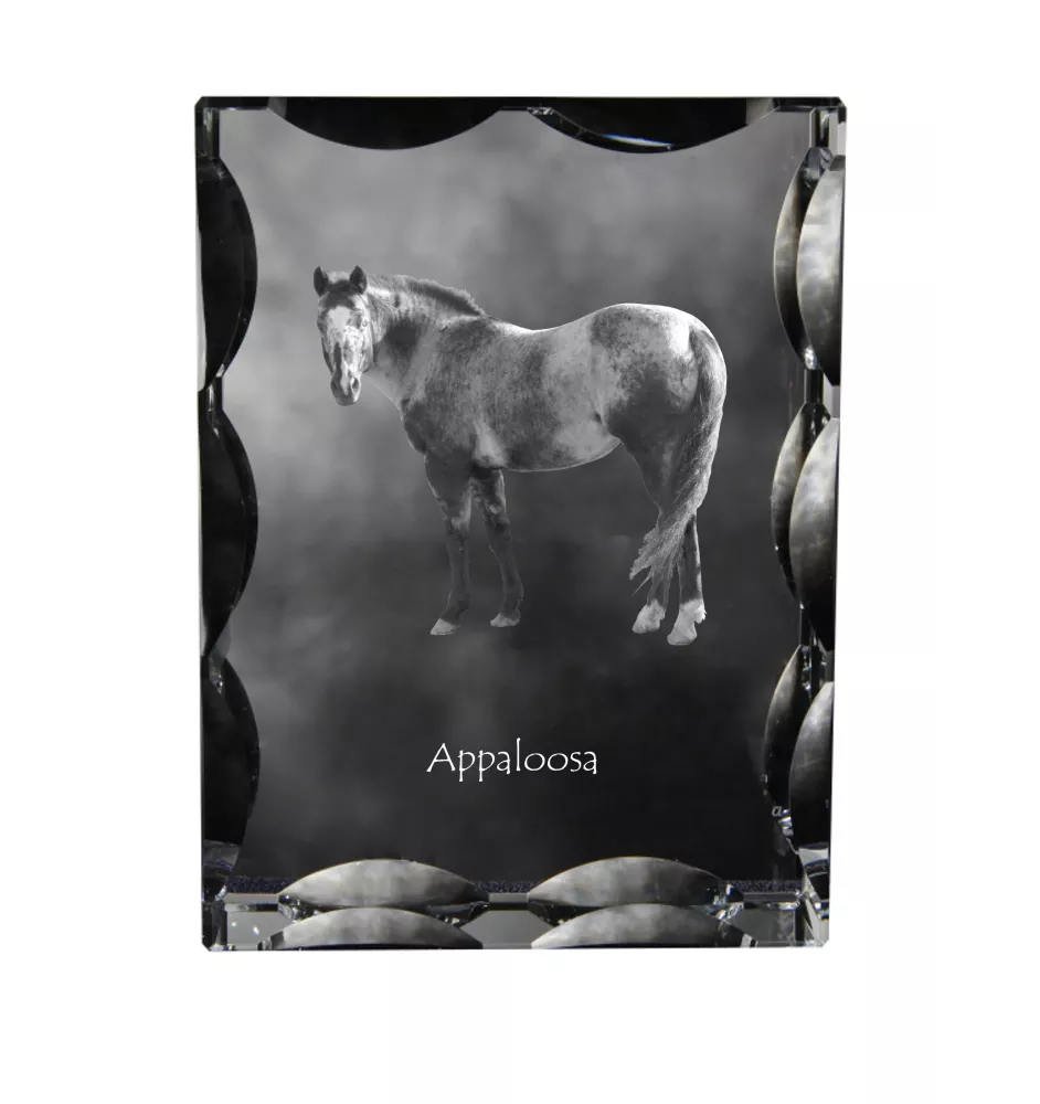 Appaloosa - Kristall mit einem Pferdebild, Glasstatuette mit einem Bild, einzigartiger Bilderrahmen der Marke Art-Dog
