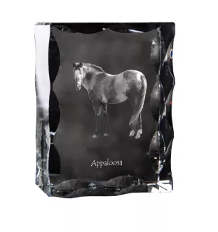 Appaloosa - crystal with a picture of a horse, glass statuette with a picture, unique frame with a picture from Art-Dog brand