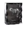 Appaloosa ramka kryształowe z koniem Art-Dog