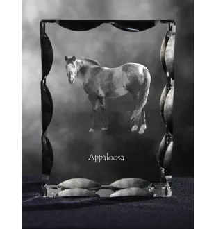 Appaloosa - crystal with a picture of a horse, glass statuette with a picture, unique frame with a picture from Art-Dog brand