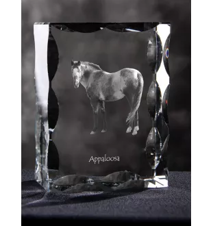 Appaloosa - crystal with a picture of a horse, glass statuette with a picture, unique frame with a picture from Art-Dog brand
