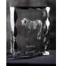 Appaloosa - Kristall mit einem Pferdebild, Glasstatuette mit einem Bild, einzigartiger Bilderrahmen der Marke Art-Dog