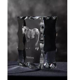 Appaloosa - crystal with a picture of a horse, glass statuette with a picture, unique frame with a picture from Art-Dog brand