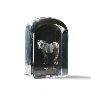 Appaloosa - crystal cube with a photo, photo of a horse in crystal, cubic paperweight from Art-Dog brand