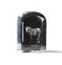 Appaloosa - crystal cube with a photo, photo of a horse in crystal, cubic paperweight from Art-Dog brand