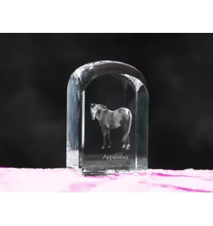 Appaloosa - crystal cube with a photo, photo of a horse in crystal, cubic paperweight from Art-Dog brand