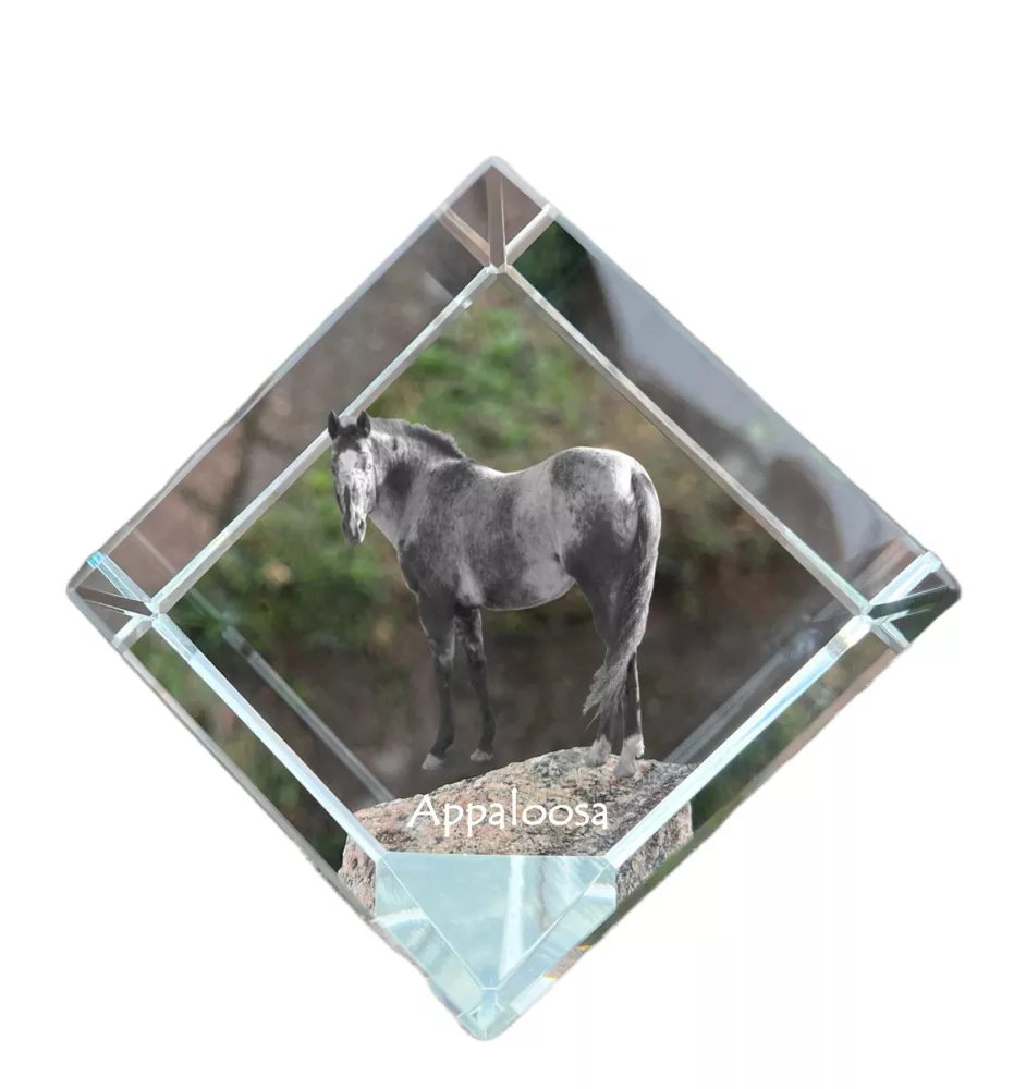 Appaloosa - Kristallwürfel mit Pferdebild, Pferdebild im Kristall, sechseckiger Papierclip der Marke Art-Dog