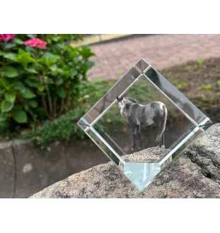 Appaloosa kostka kryształowa z koniem Art-Dog