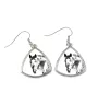 Appaloosa - earrings with a horse, hanging earrings with a picture, personalized jewelry with Art-Dog brand print