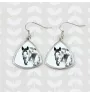 Appaloosa - earrings with a horse, hanging earrings with a picture, personalized jewelry with Art-Dog brand print