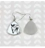 Appaloosa - boucles d'oreilles avec un cheval, boucles d'oreilles pendantes avec une image, bijoux personnalisés avec l'impression de la marque Art-Dog