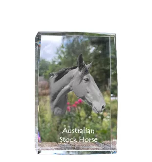 Australisches Zuchtpferd - Kristall mit einem Pferdebild, Bild im Glas, moderne Ausstellung des Art-Dog-Bildes.