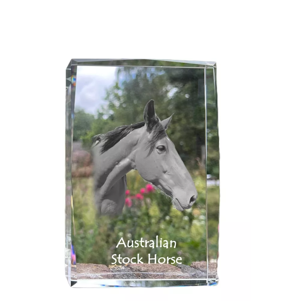 Australian Stock Horse kryształ z koniem Art-Dog