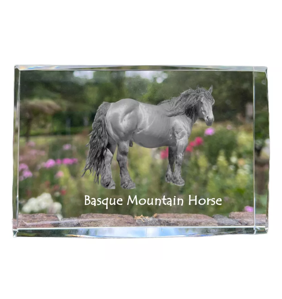 Basque Mountain Horse - crystal with a picture of a horse, photo in glass, modern exhibition of Art-Dog brand photo