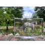Baskisches Bergpferd - Kristall mit einem Pferdebild, Bild im Glas, moderne Ausstellung des Art-Dog-Bildes.