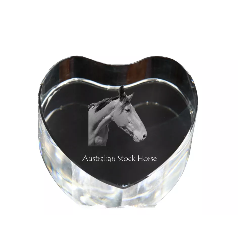 Cheval d'élevage australien - une photo de cheval dans un cristal, un cœur en cristal, un cadre exceptionnel avec une photo de la marque Art-Dog