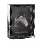Australisches Zuchtpferd - crystal with a picture of a horse, glass statuette with a picture, unique frame with a picture from Art-Dog brand