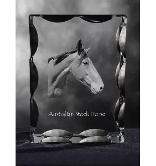 Australisches Zuchtpferd - crystal with a picture of a horse, glass statuette with a picture, unique frame with a picture from Art-Dog brand
