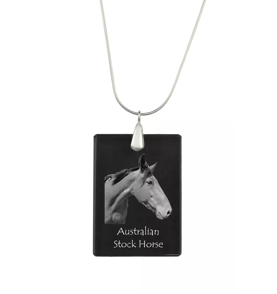 Cheval d'élevage australien - Crystal pendant with horse, silver necklace with photo, personalised pendant by Art-Dog brand