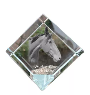Australian Stock Horse - crystal cube with a horse picture, horse picture in crystal, cubic paperweight from Art-Dog brand