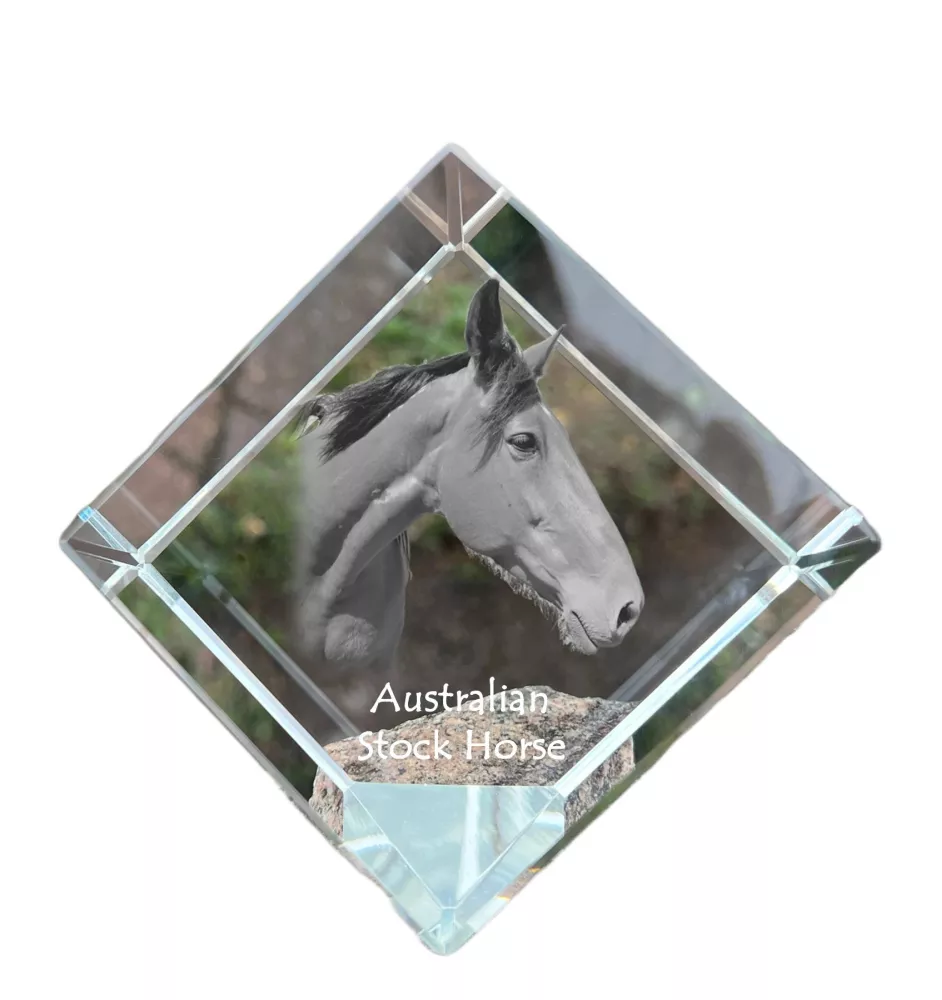 Australian Stock Horse kostka kryształowa z koniem Art-Dog