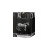 Basque Mountain Horse - Candle holder with picture of a horse, crystal tealight holder, personalised gift by Art-Dog brand