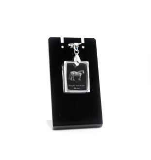 Cheval de montagne basque - Crystal pendant with horse, photo necklace, unique jewellery by Art-Dog