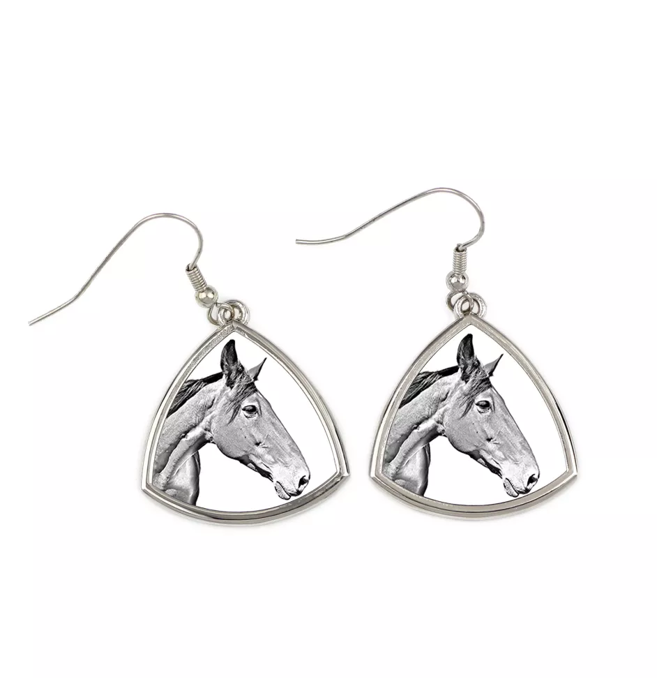 Australisches Zuchtpferd - Pferdeohrringe, hängende Ohrringe mit einem Bild, personalisierter Schmuck mit dem Aufdruck der Marke Art-Dog