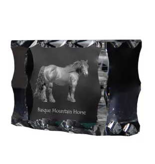 Baskisches Bergpferd - crystal with a picture of a horse, glass statuette with a picture, unique frame with a picture from Art-Dog brand
