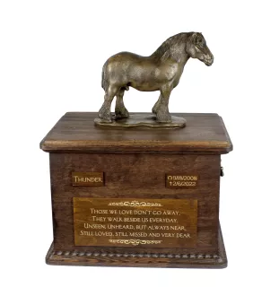 Percheron- Belgisch - Eine Urne für die Asche eines Pferdes mit einer Statue, personalisierte Urne mit Gravur, große Schachtel für Pferdeasche von der Marke Art-Dog.