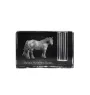 Basque Mountain Horse - Pen stand, crystal organiser with picture of a horse, unique desk decoration by Art-Dog brand