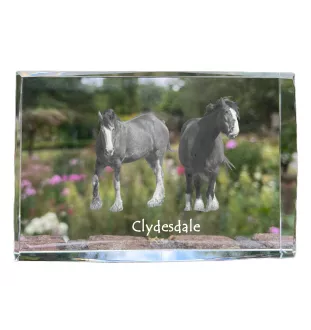 Clydesdale - Kristall mit einem Pferdebild, Bild im Glas, moderne Ausstellung des Art-Dog-Bildes.
