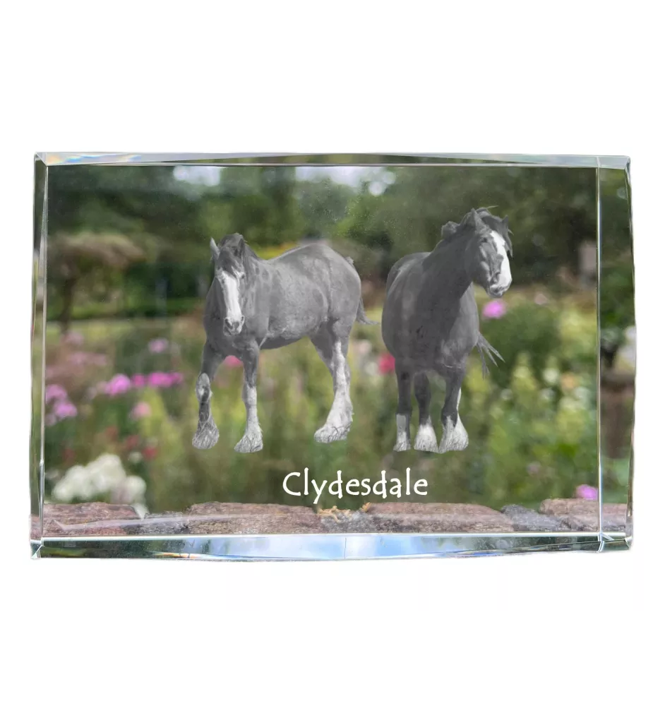 Clydesdale kryształ z koniem Art-Dog