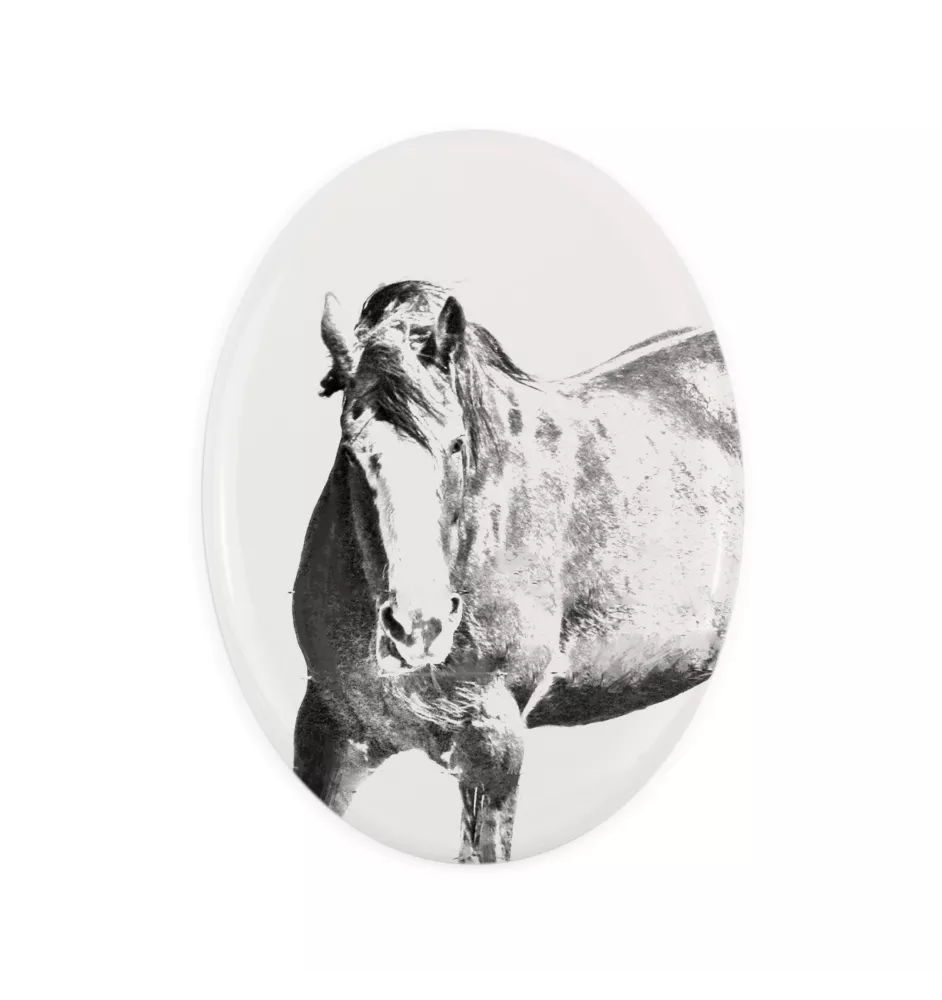 Clydesdale - commemorative plaque with a photo of a horse, tombstone plaque with a print, personalized oval plaque by Art-Dog brand