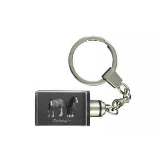 Clydesdale - Kristall-Anhänger mit Foto eines Pferdes, beleuchteter Anhänger, einzigartiges Geschenk der Marke Art-Dog