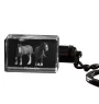 Clydesdale - Crystal pendant with photo of a horse, illuminated pendant, unique gift by Art-Dog brand