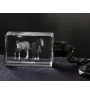 Clydesdale - Kristall-Anhänger mit Foto eines Pferdes, beleuchteter Anhänger, einzigartiges Geschenk der Marke Art-Dog