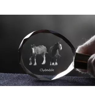 Clydesdale - pendant with a picture of a horse, crystal key ring in a gift box, unique gift by Art-Dog brand