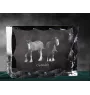 Clydesdale - crystal with a picture of a horse, glass statuette with a picture, unique frame with a picture from Art-Dog brand
