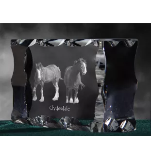Clydesdale - Kristall mit einem Pferdebild, Glasstatuette mit einem Bild, einzigartiger Bilderrahmen der Marke Art-Dog
